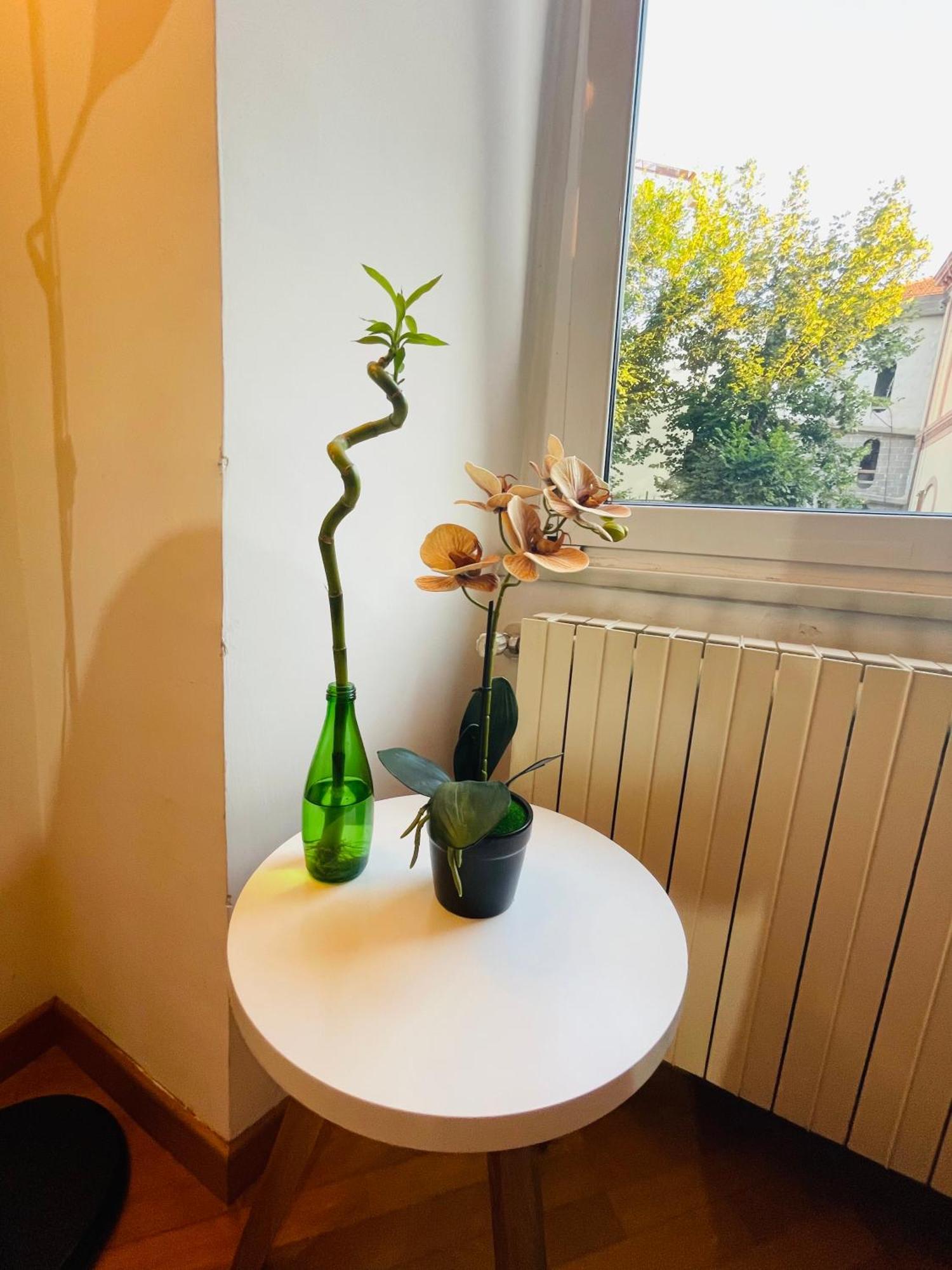Holiday Colosseum Rome Bed & Breakfast Ngoại thất bức ảnh