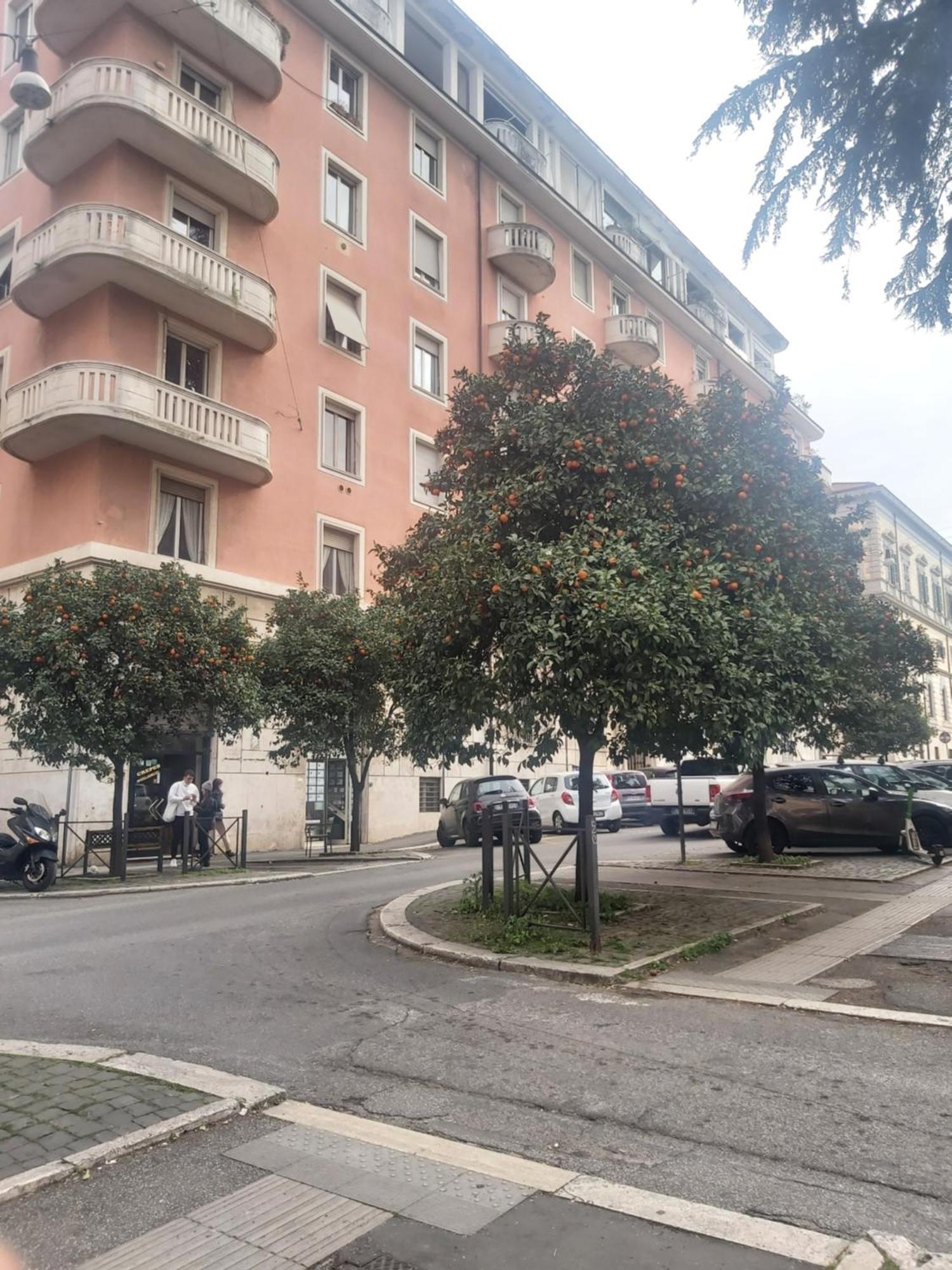 Holiday Colosseum Rome Bed & Breakfast Ngoại thất bức ảnh